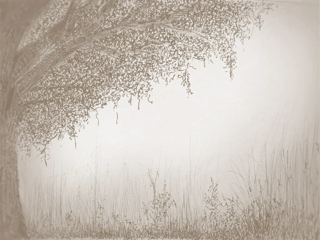 Aperçu du papier peint